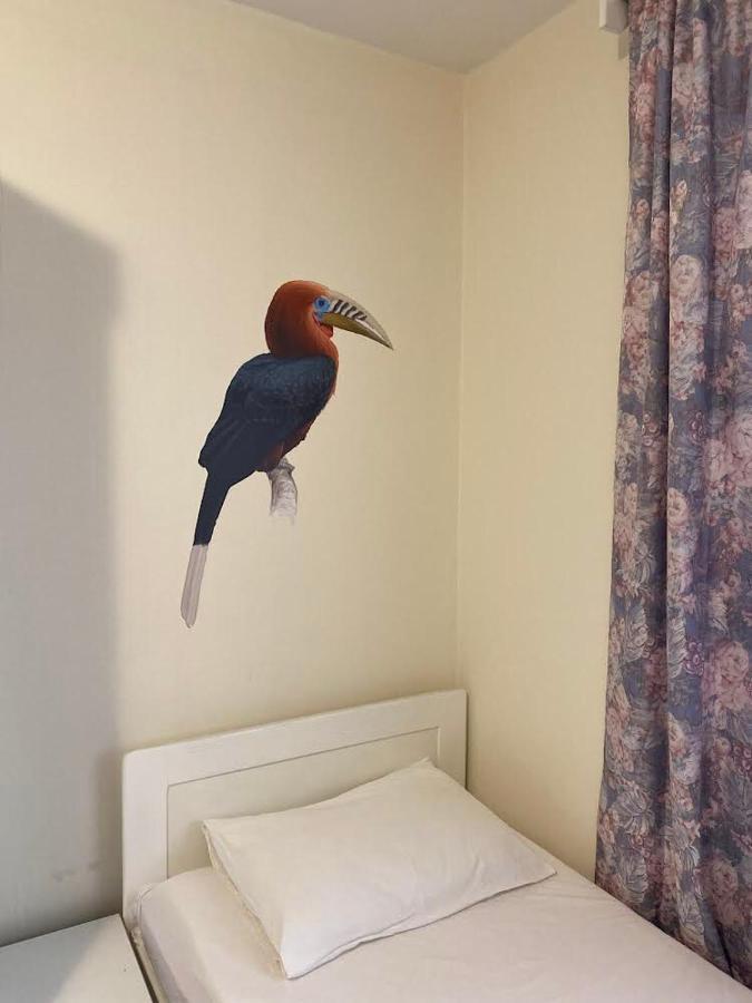 Apartmant Nik 赫尔采格诺维 外观 照片