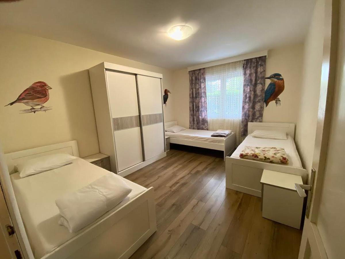 Apartmant Nik 赫尔采格诺维 外观 照片
