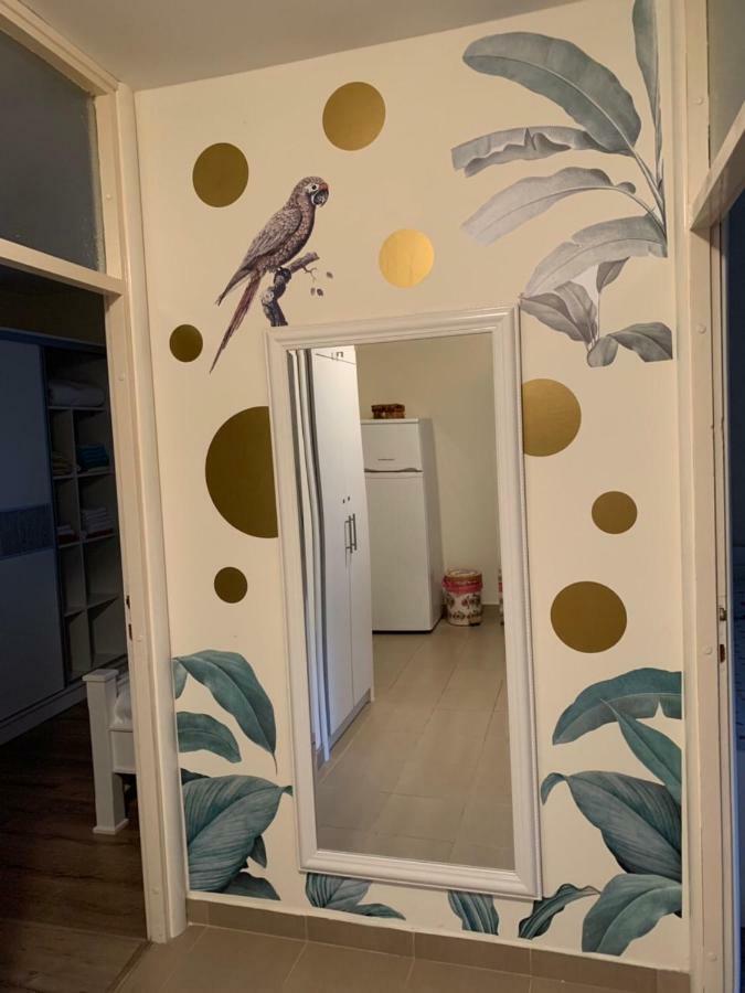 Apartmant Nik 赫尔采格诺维 外观 照片